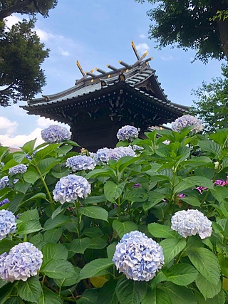 東京　白山神社